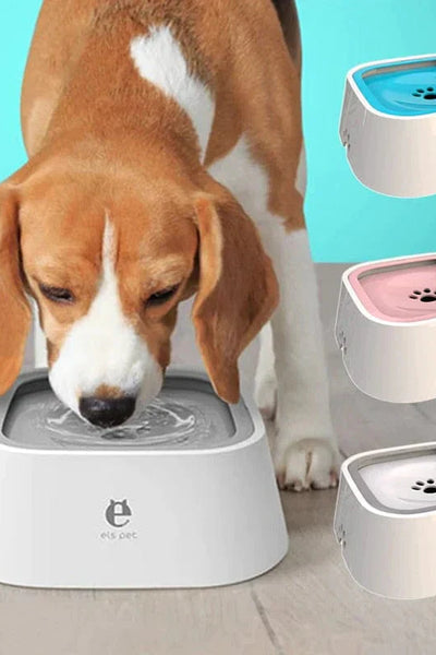 Pet Products